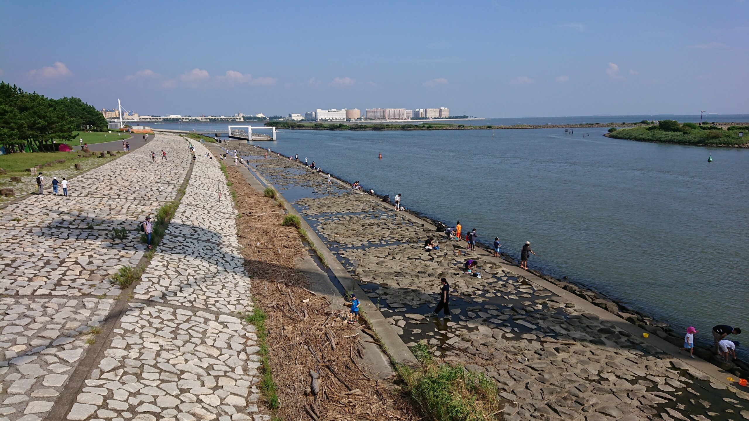 葛西臨海公園のカニ釣り場