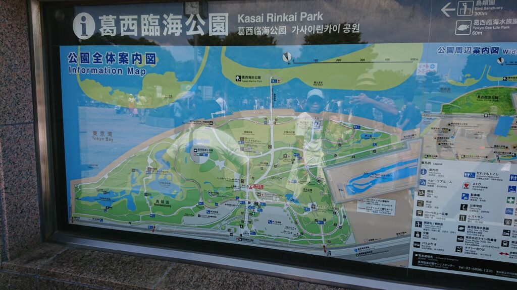 外ネタ情報局 葛西臨海公園 葛西海浜公園 の釣り場 釣果と近隣施設まとめ