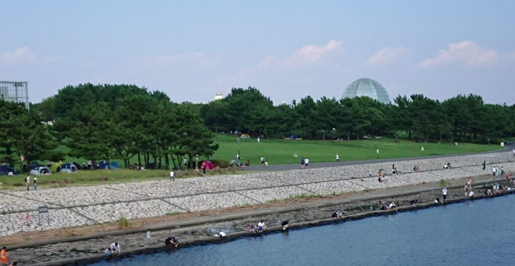 葛西臨海公園の芝生エリア全体