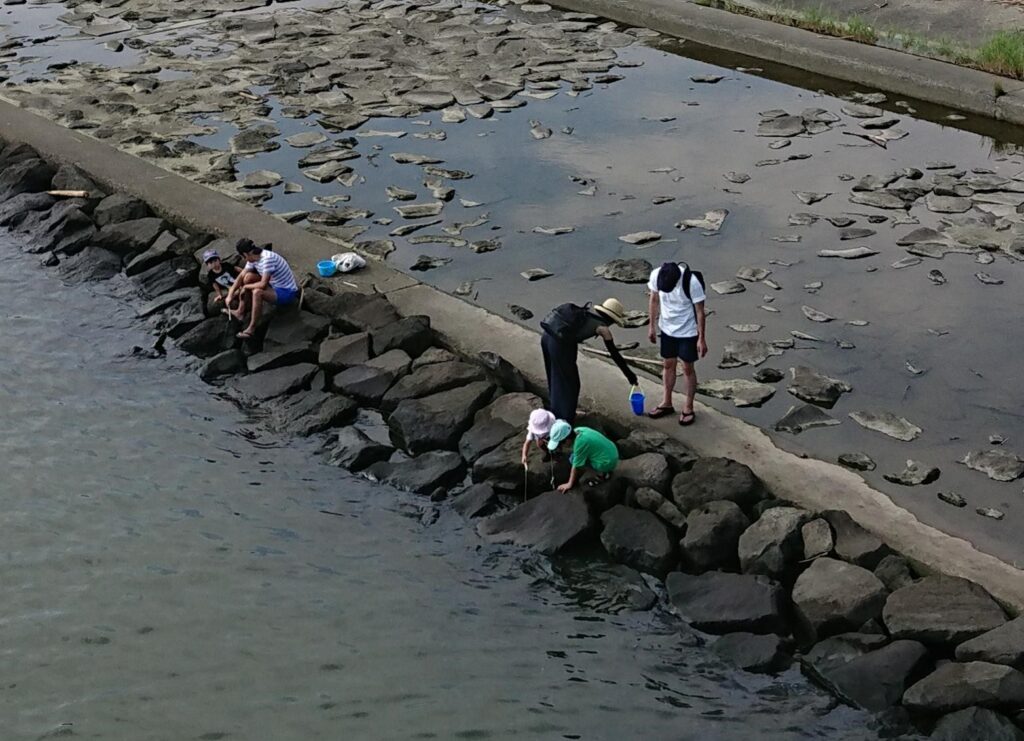 葛西臨海公園のカニ釣り場