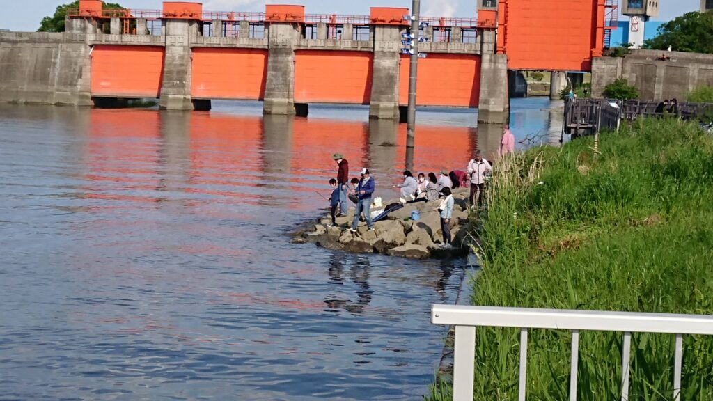 旧岩淵水門の桟橋周辺のゴロタ場