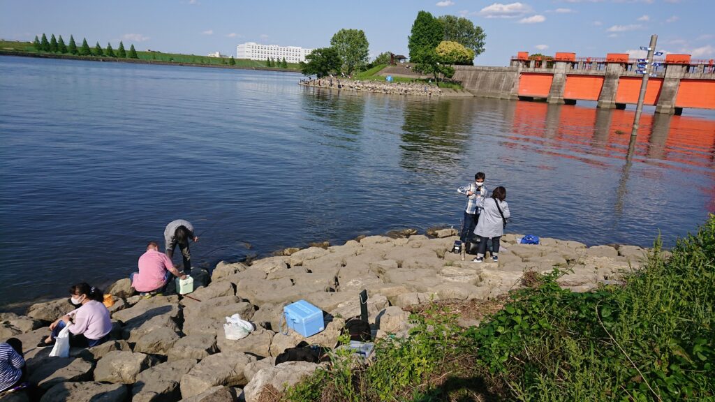 旧岩淵水門の桟橋周辺のゴロタ場