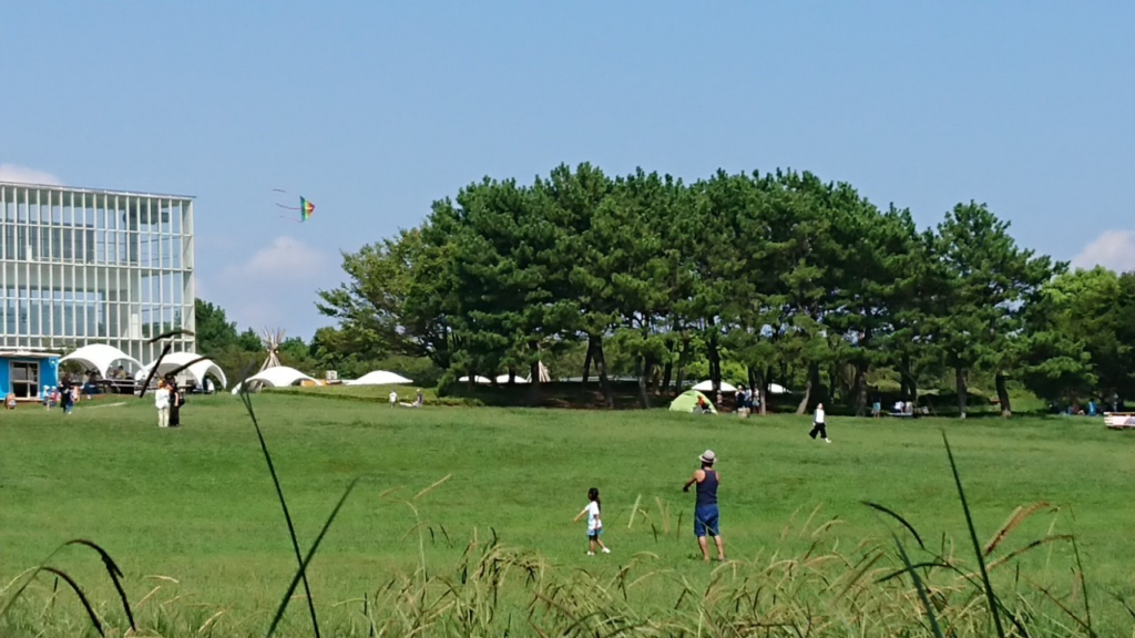 葛西臨海公園の芝生エリア