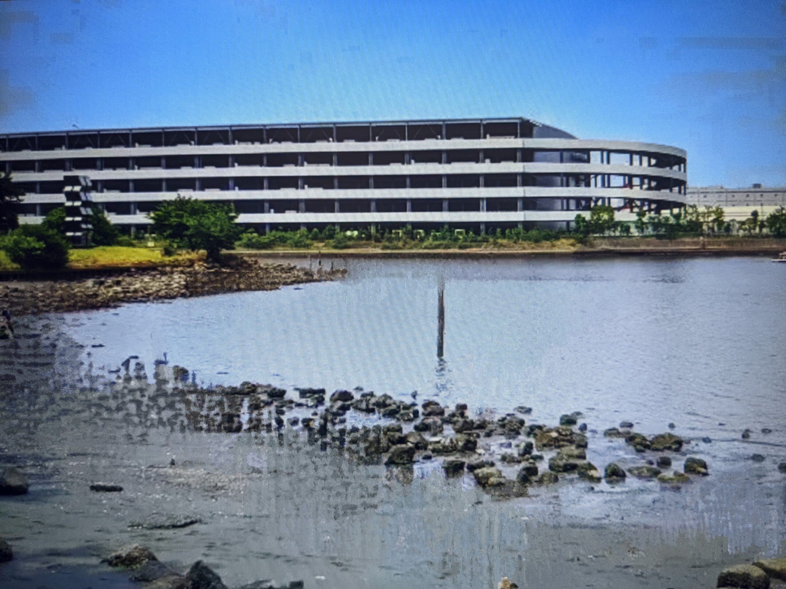 大井ふ頭中央海浜公園