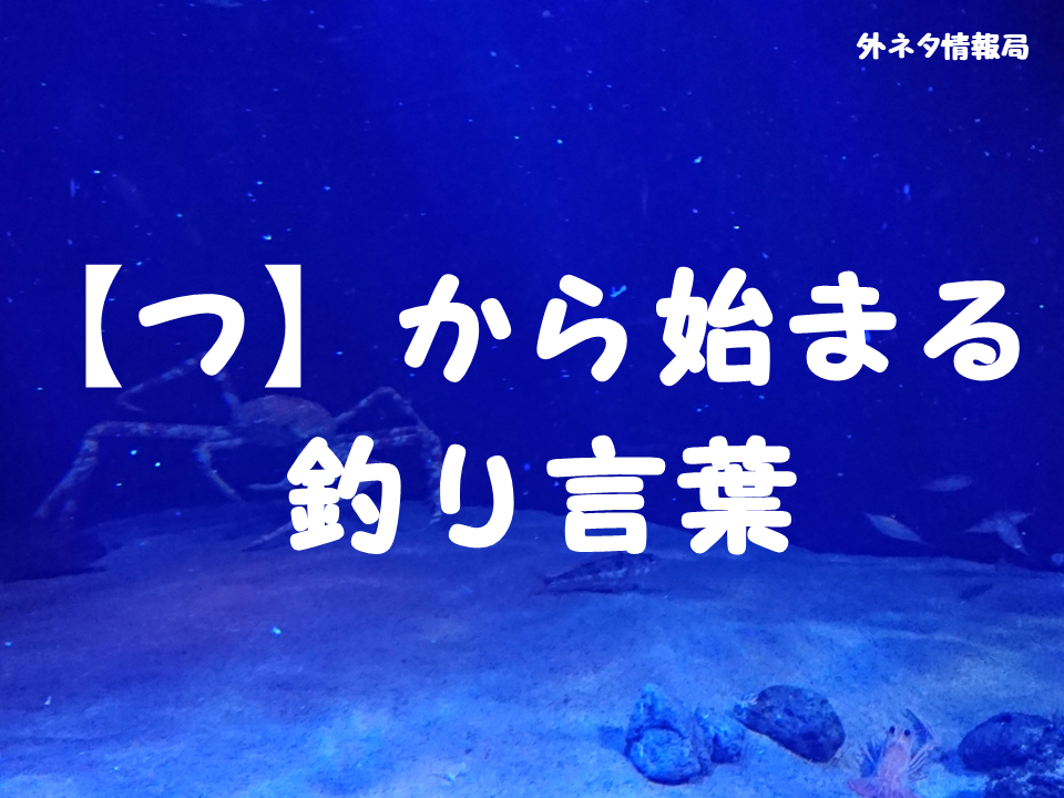 【つ】から始まる釣り言葉