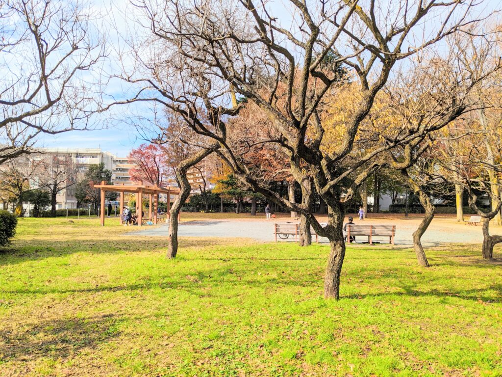 浮間公園の広場