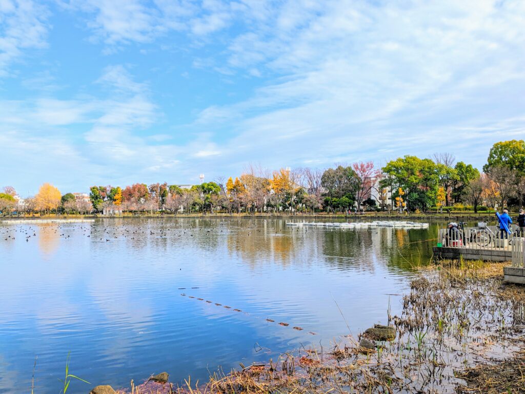 浮間公園内の浮間ヶ池