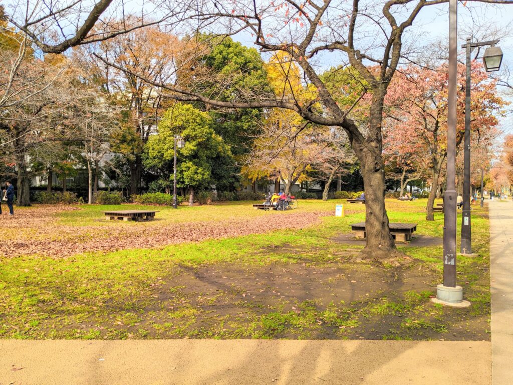 浮間公園木立ち