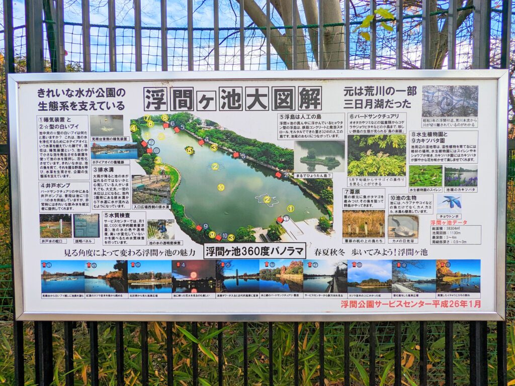 浮間公園の釣りが出来る浮間ヶ池大図鑑