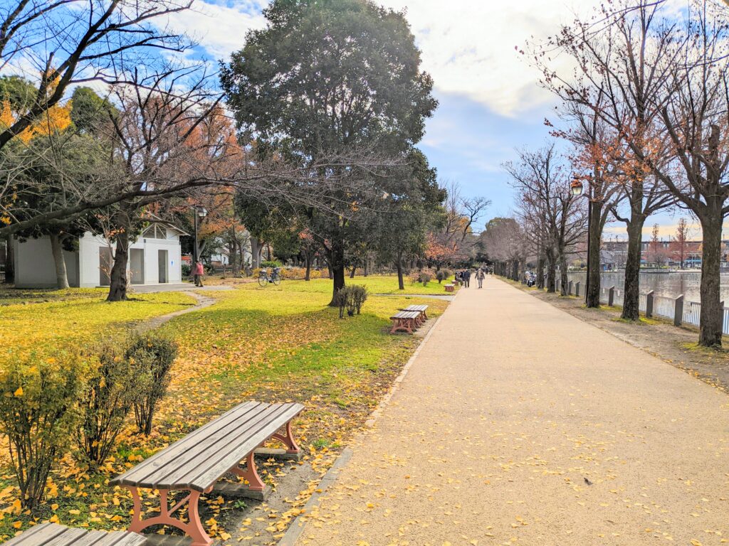 浮間公園の遊歩道