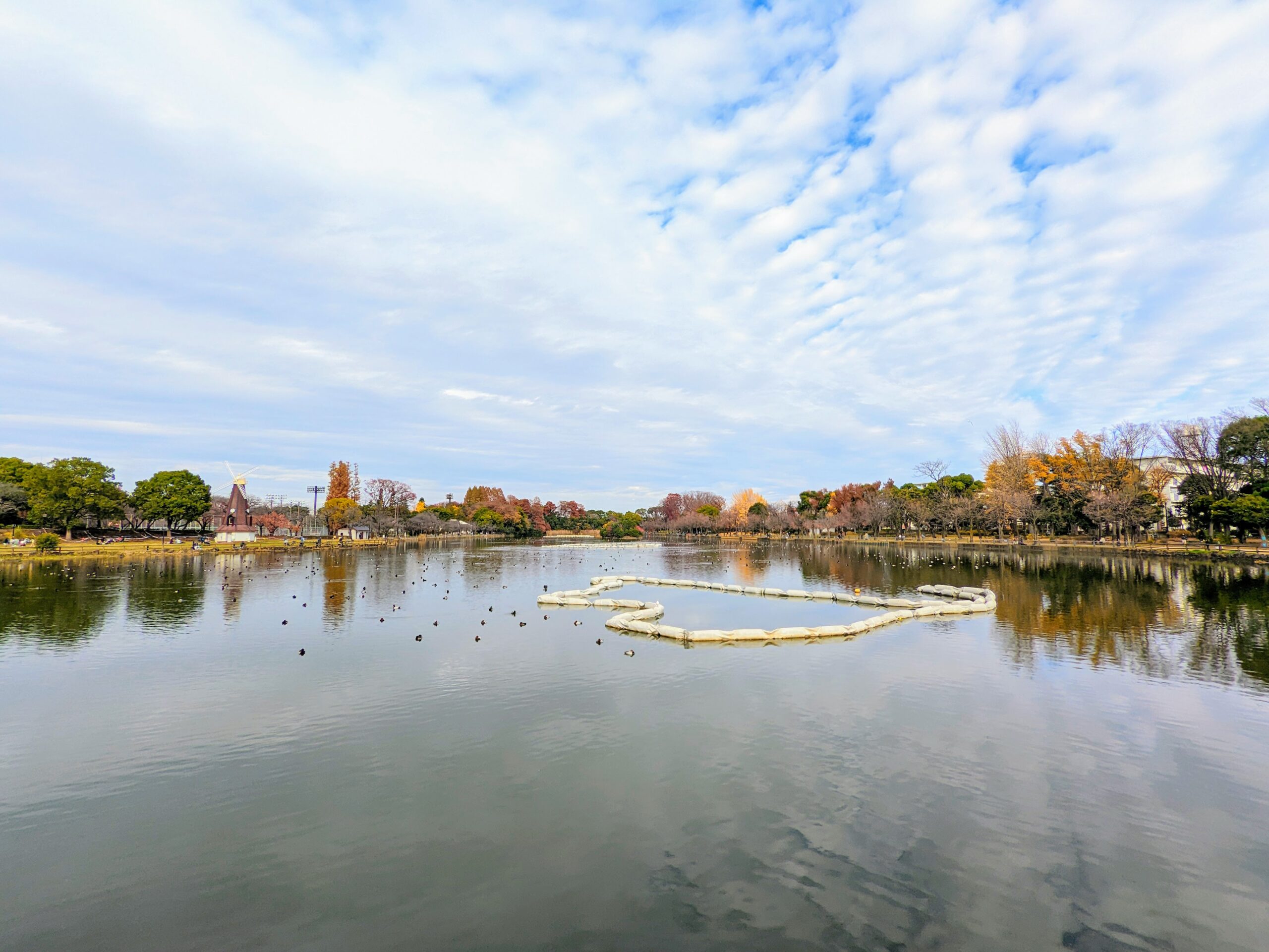 浮間公園＿浮間ヶ池