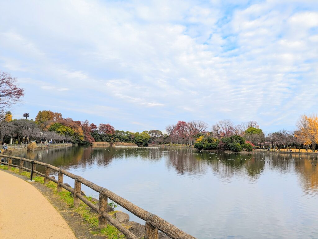 浮間公園内の釣り場浮間ヶ池