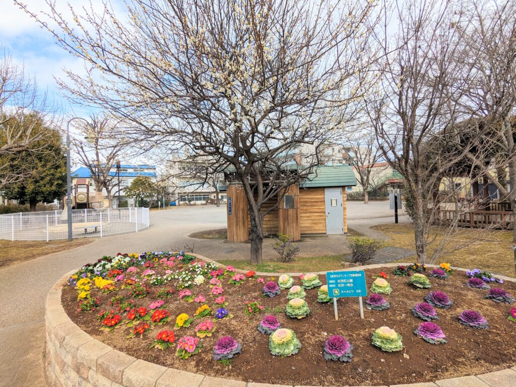 志茂町公園の花壇