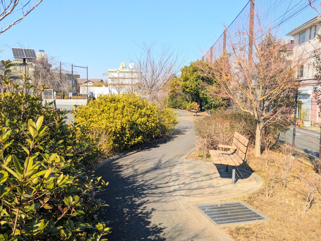 志茂ゆりの木公園の遊歩道とベンチ（広場側）