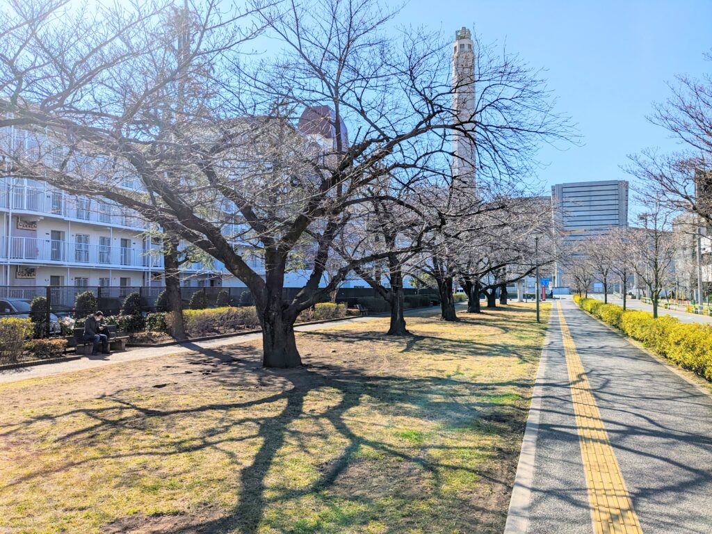 志茂東公園の桜の木と芝生エリア