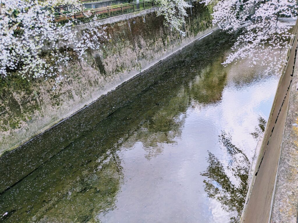 加賀二の橋の川面