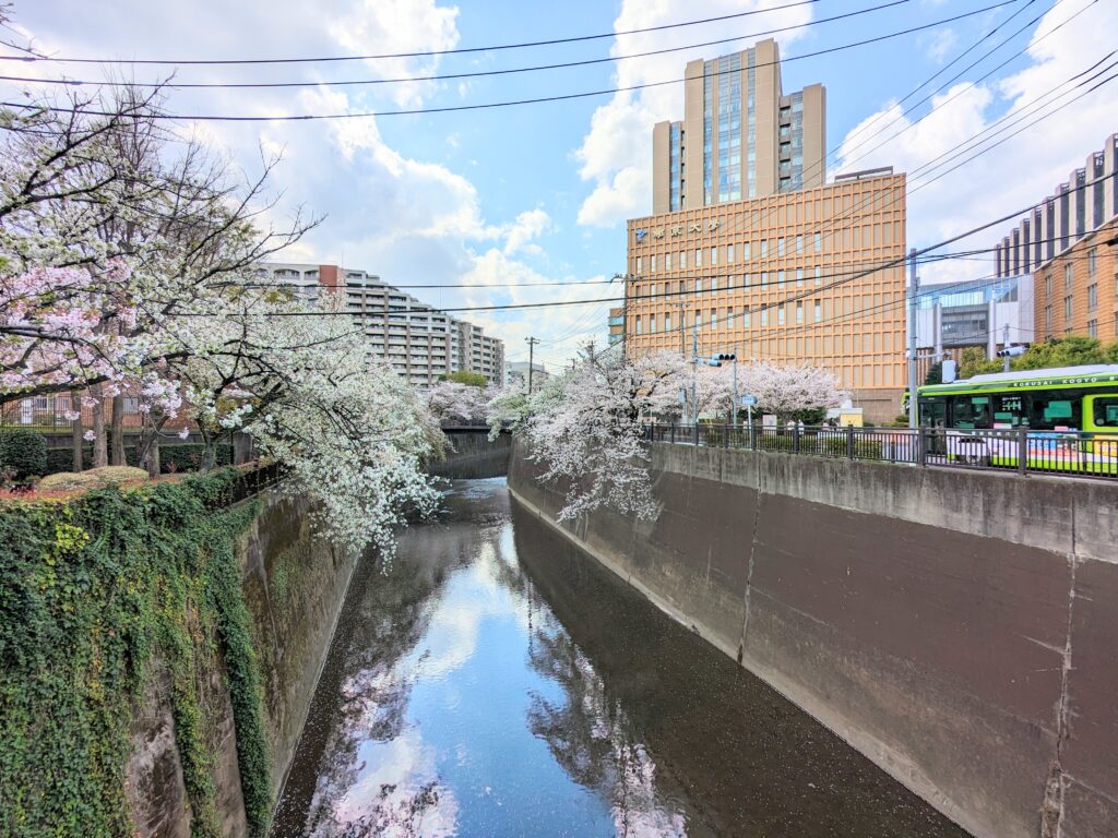 加賀二の橋付近の石神井川