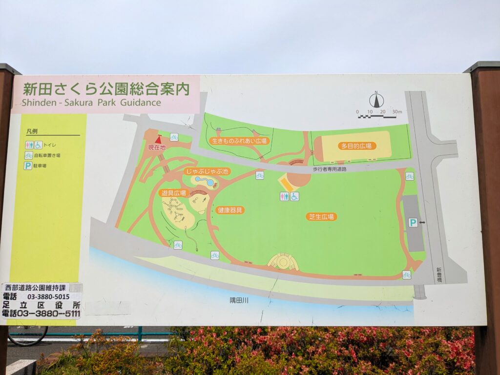 新田さくら公園の全体図