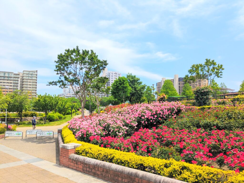 新田さくら公園スロープ入口左側