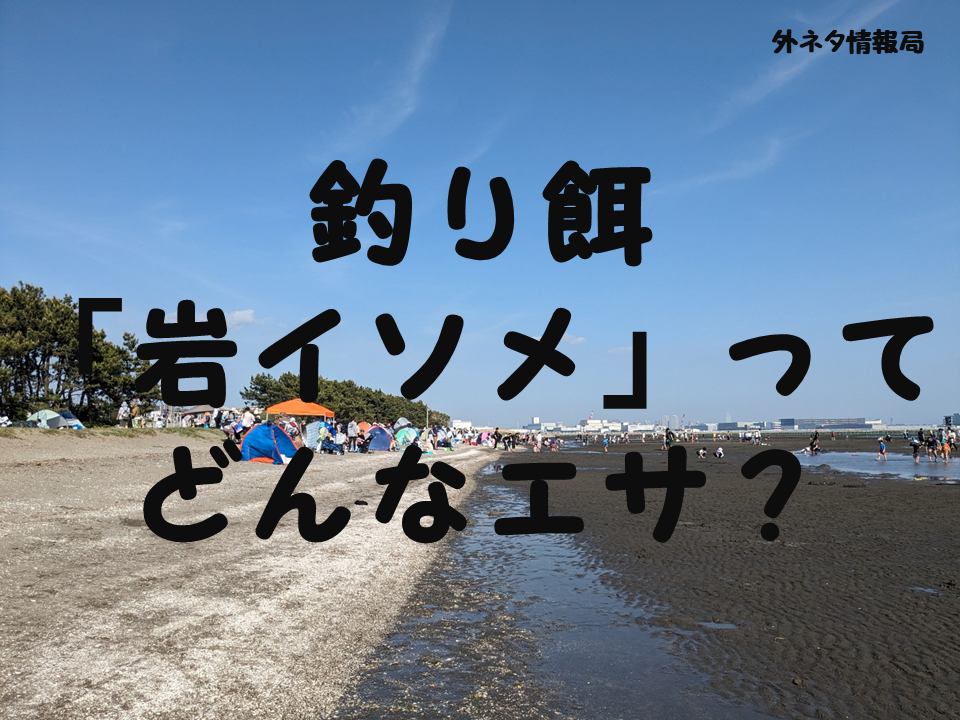 釣り餌「岩イソメ」ってどんなエサ？のメイン画像