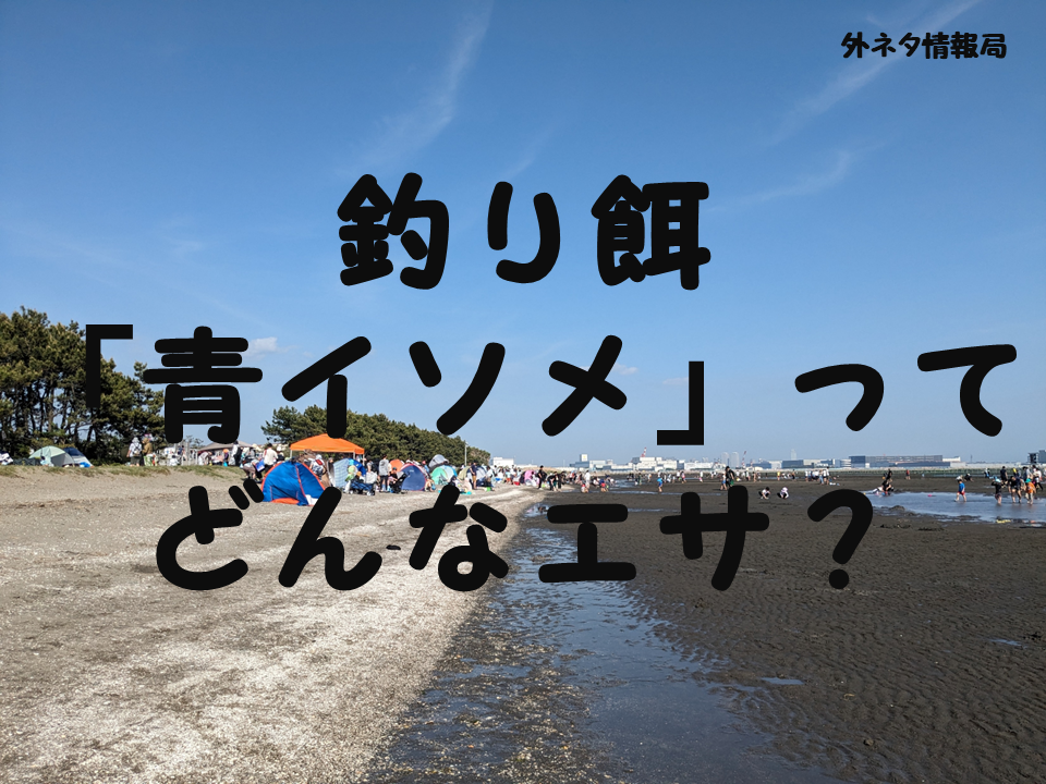 釣り餌「青イソメ」ってどんなエサ？