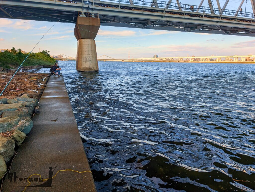 東京メトロ東西線　橋脚周辺（上げ潮）