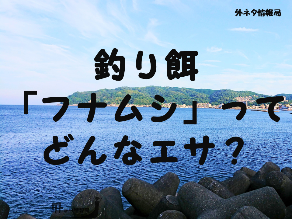 釣り餌「フナムシ」ってどんなエサ？