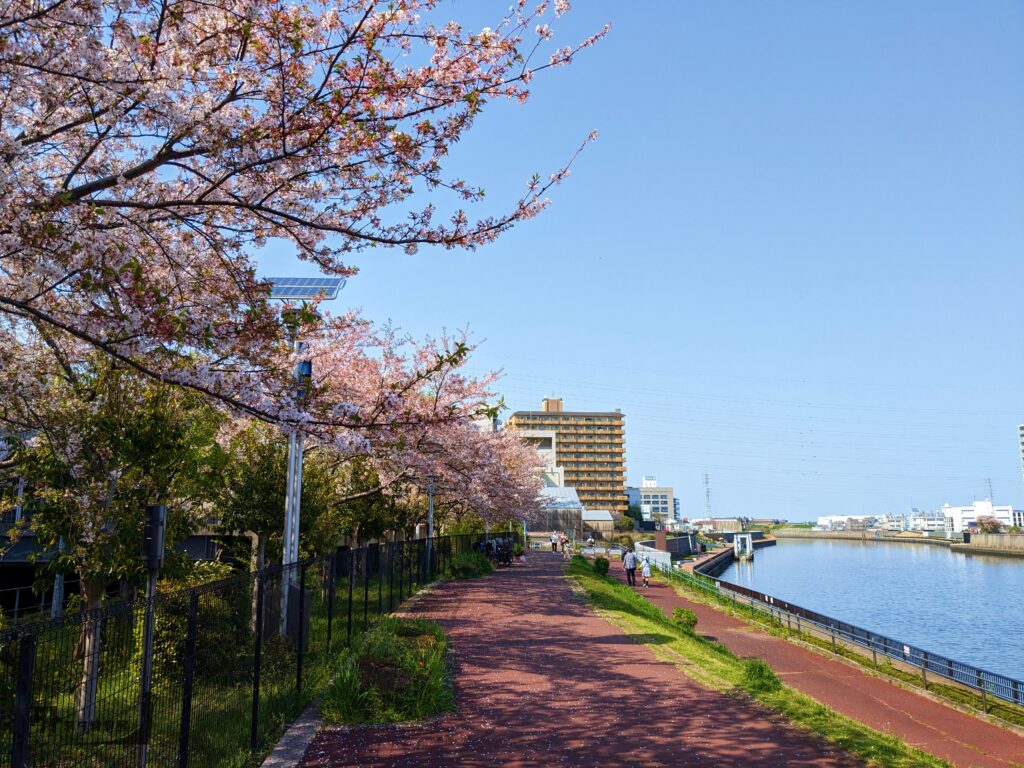 春の川