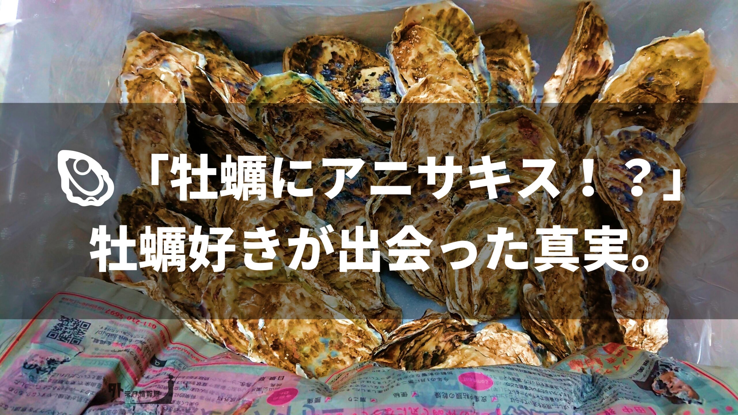 牡蠣とアニサキスアイキャッチ