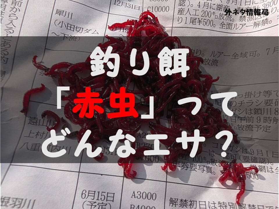 釣り餌「赤虫（アカムシ）」のTOP
