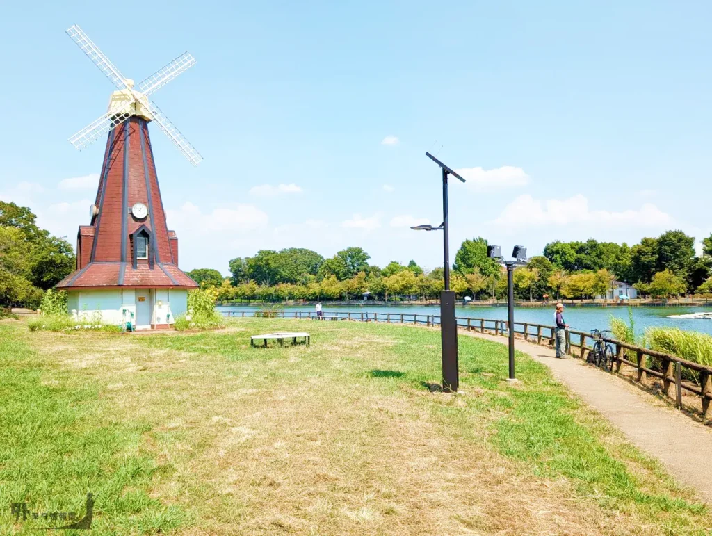 浮間公園の風車（8月）