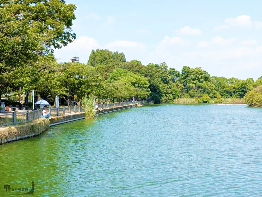 浮間公園の浮間ヶ池