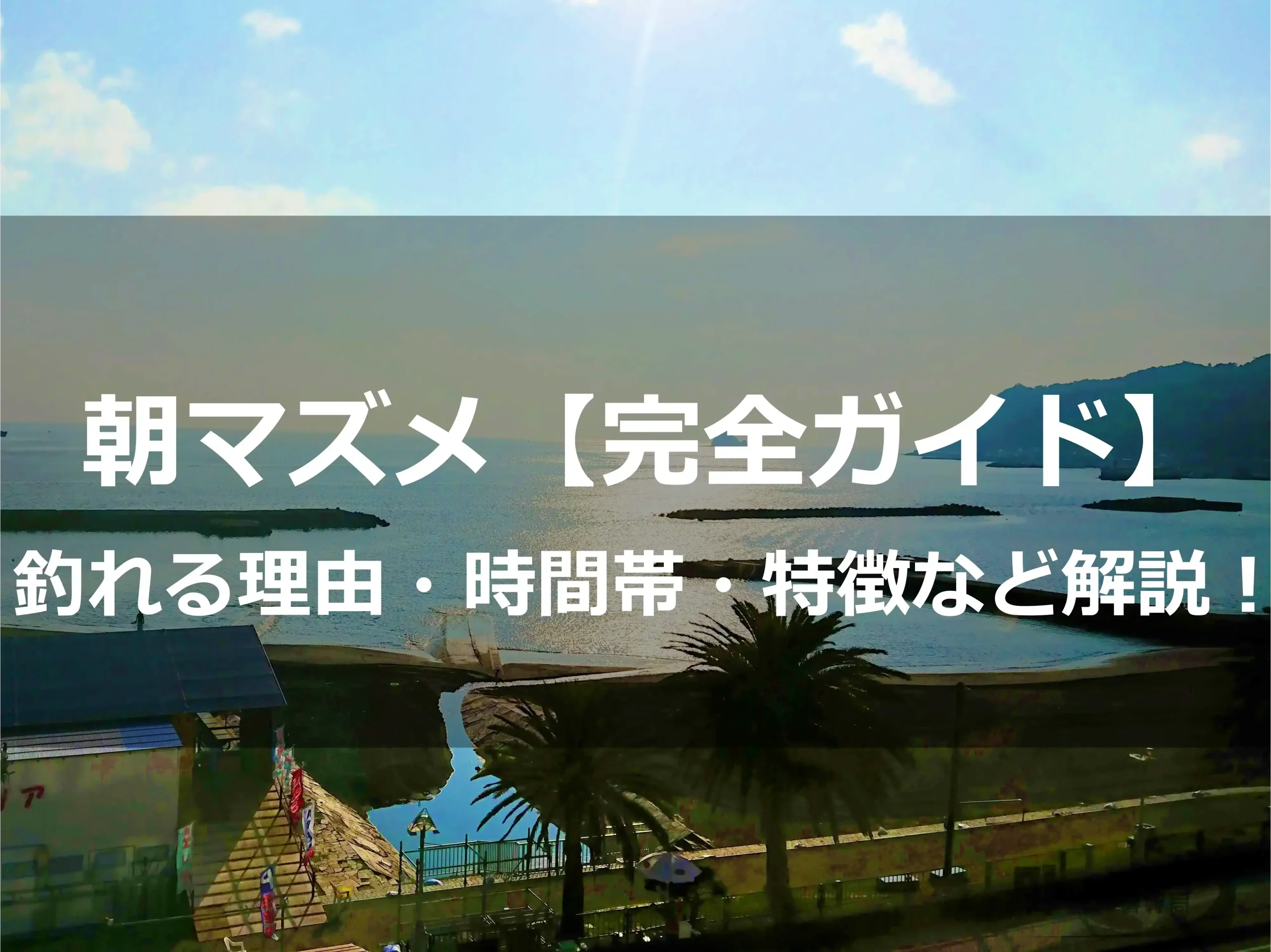 朝 マズメ と は