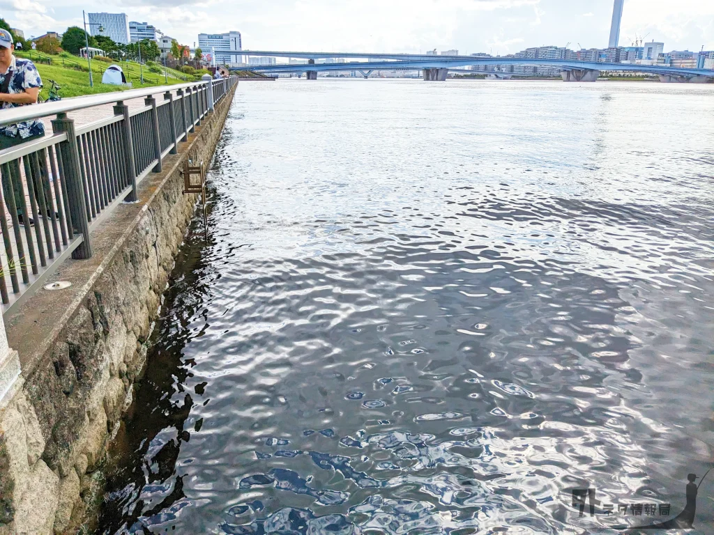 晴海橋公園の岸壁