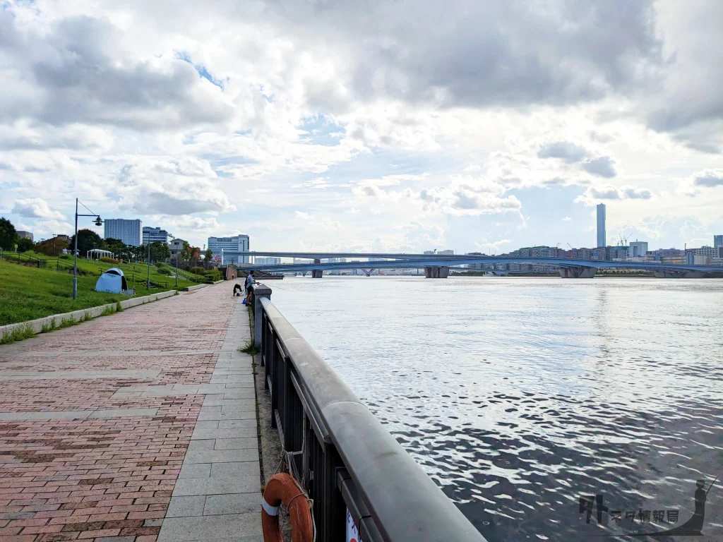 晴海橋公園釣りエリア