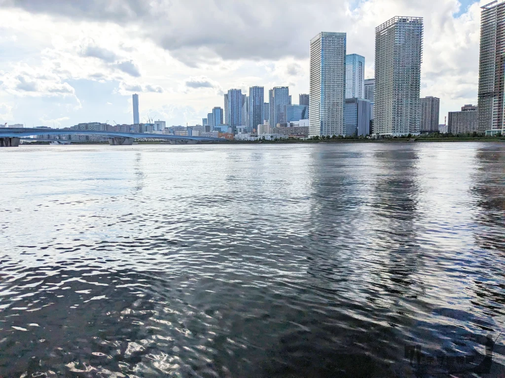 晴海橋公園から海を挟んで高層ビルを望む