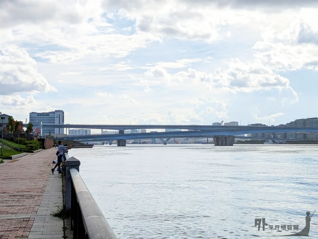 晴海橋公園の釣り場の柵