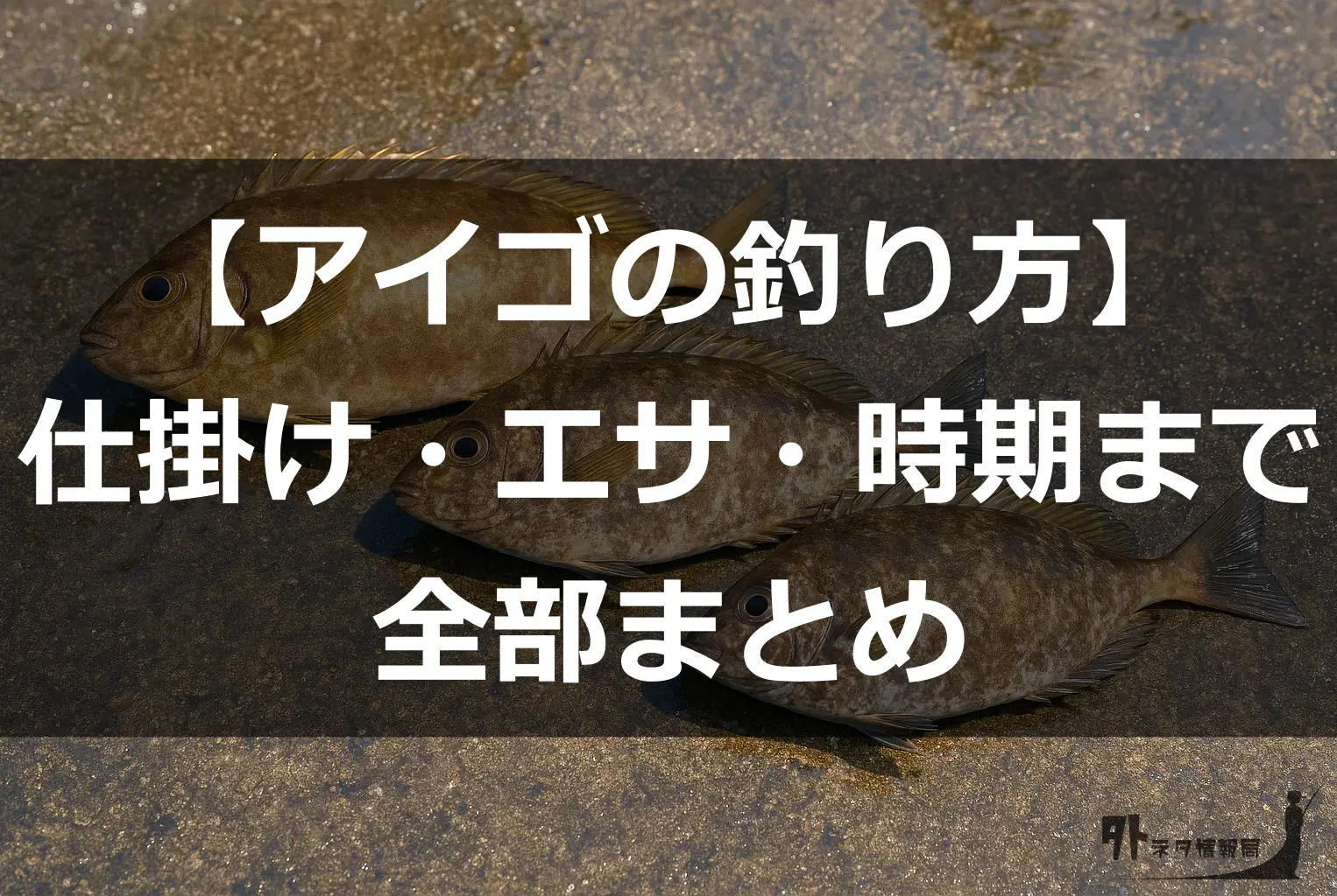 アイゴの釣り方ガイド|毒対策・仕掛け・エサ・主な食べ方まで実体験で解説 | 外ネタ情報局