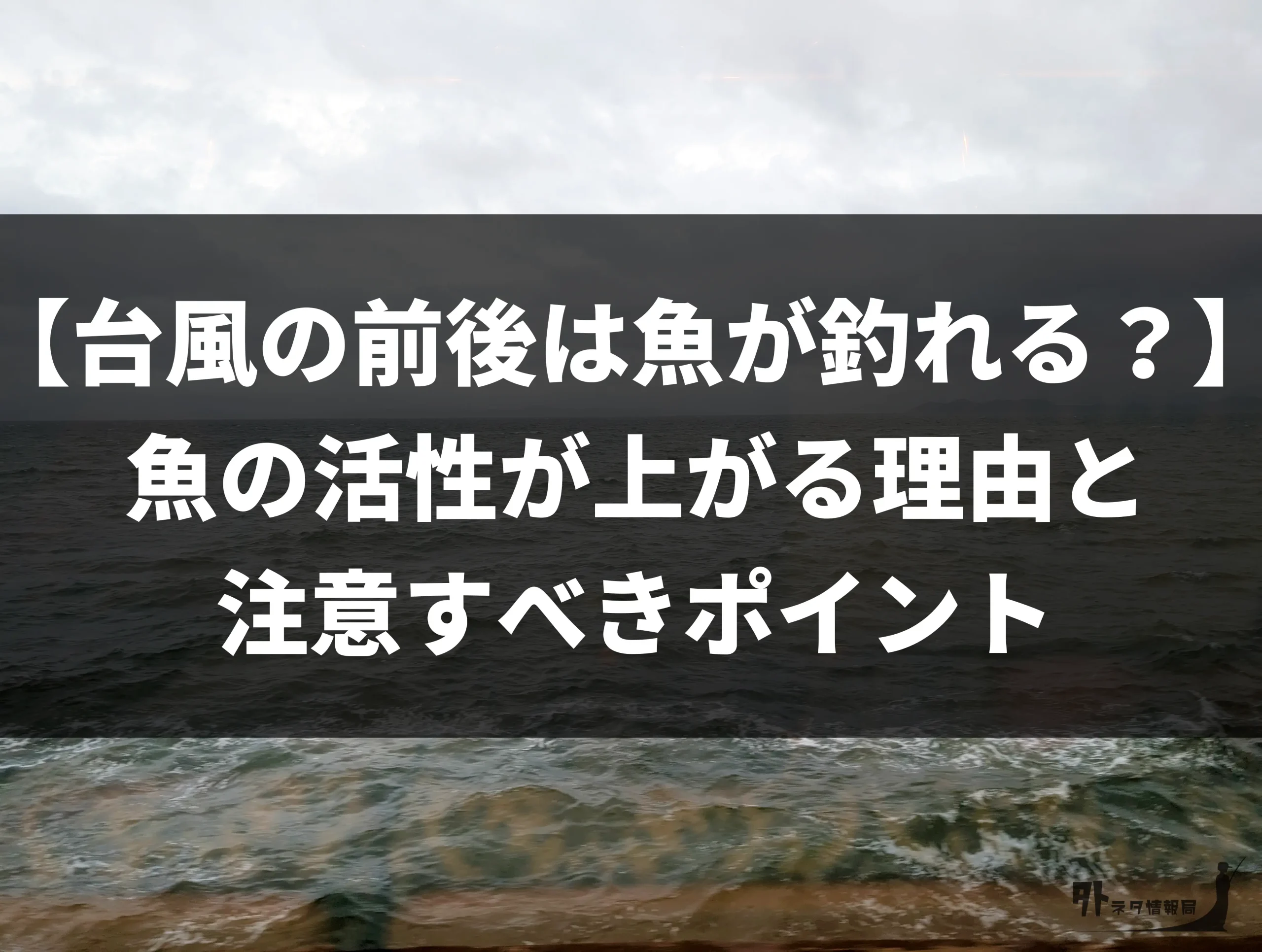 台風の前後は魚が釣れる？魚の活性が上がる理由と注意すべきポイント