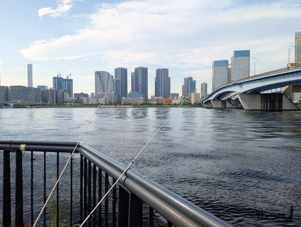豊洲ぐるり公園の晴海橋近くの釣り場