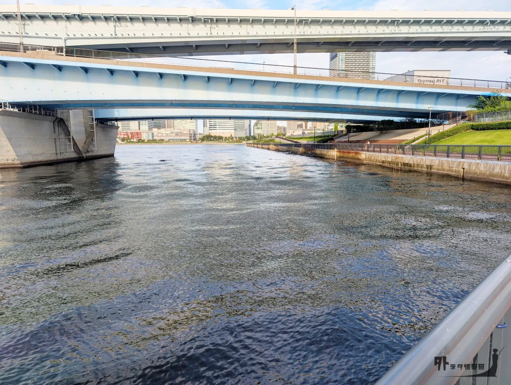 豊洲ぐるり公園 晴海大橋 釣り場