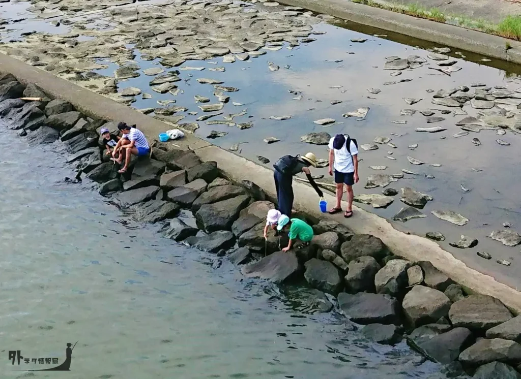 葛西臨海公園のカニ釣り場