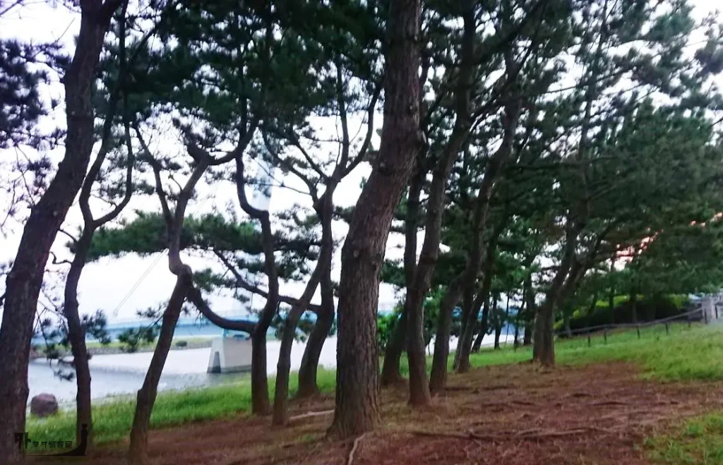 芝生エリアに隣接する小立