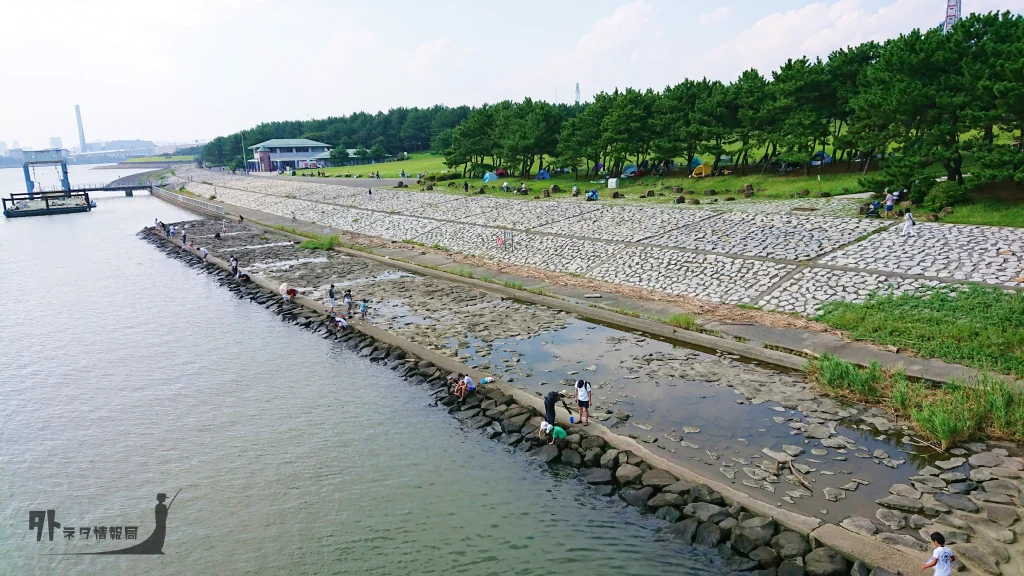 葛西臨海公園の渚橋を挟んで右側の護岸
