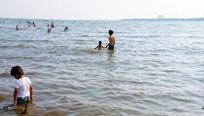 葛西海浜公園(海水浴場)