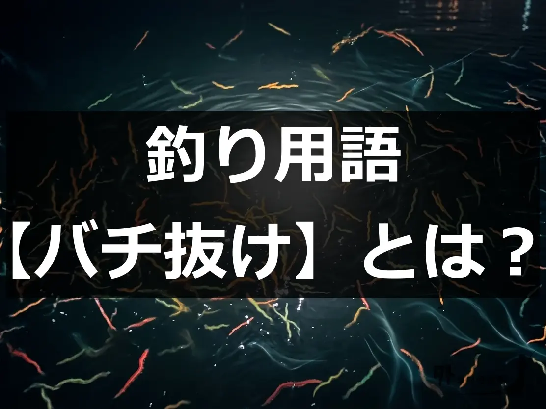 バチ抜け画像TOP