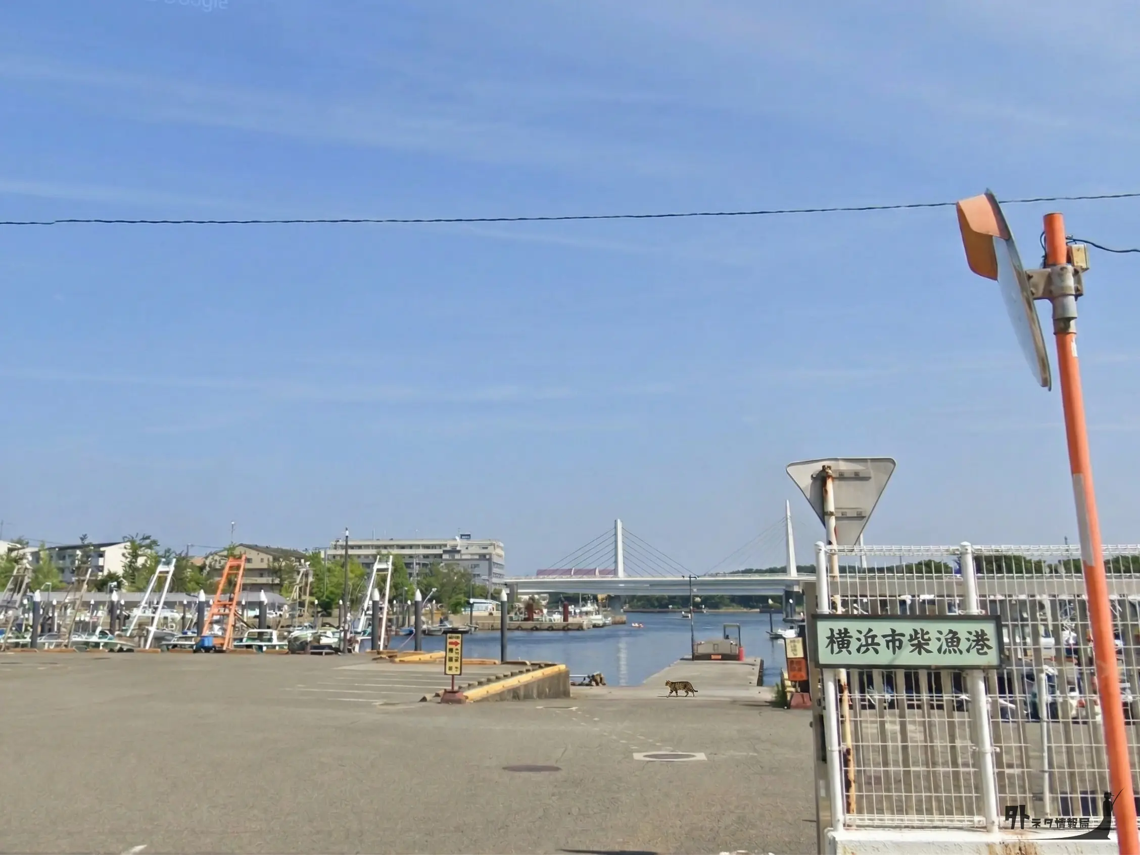 柴漁港の正面の写真