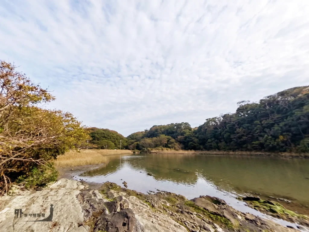 小網代の森海岸線左