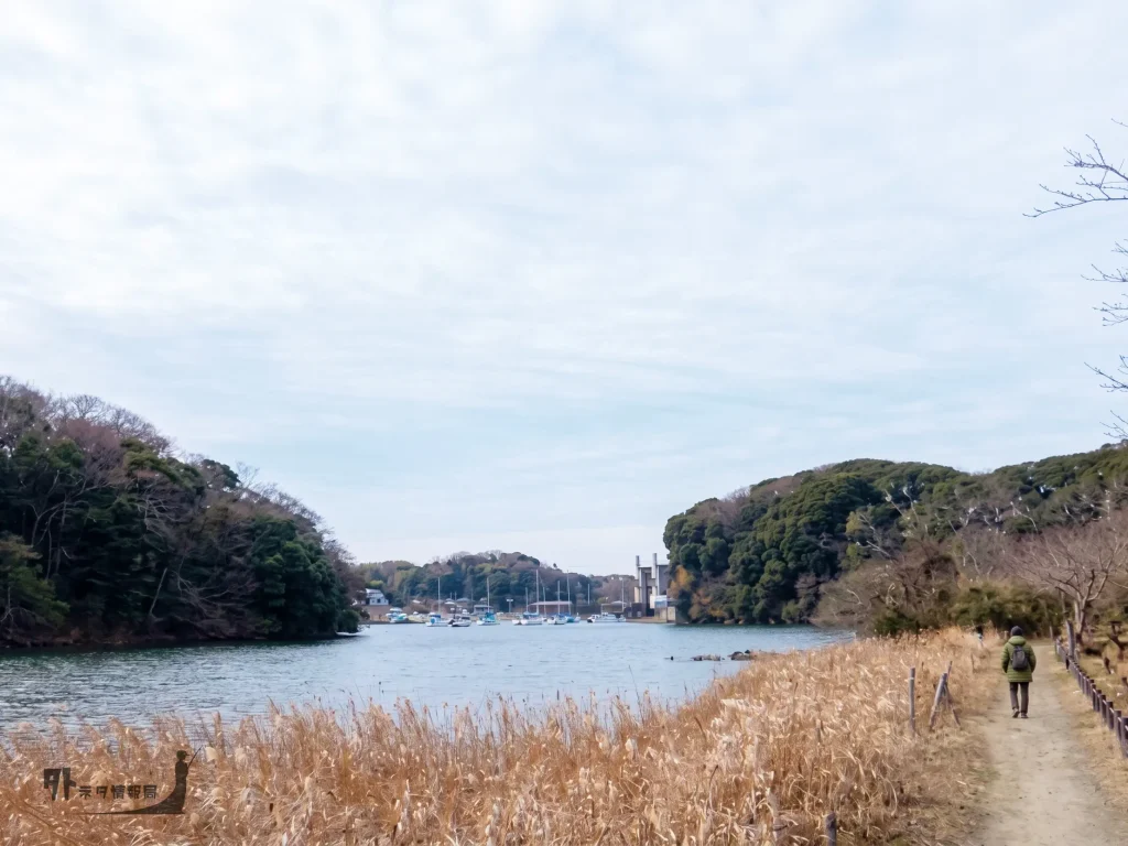 小網代の森遊歩道