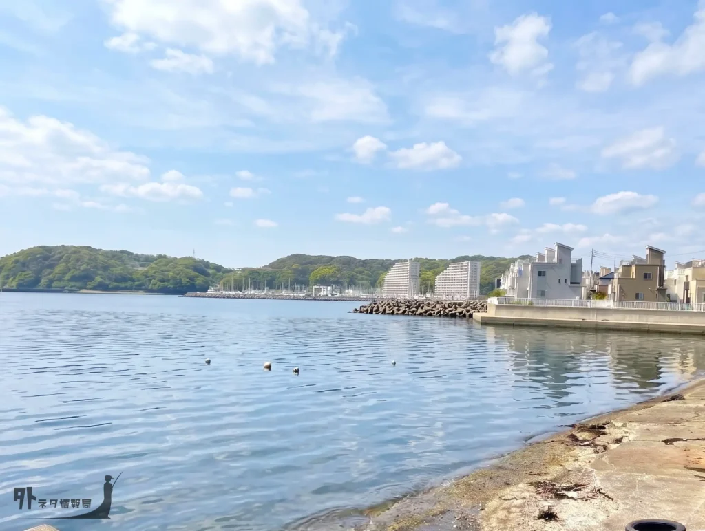 鴨居漁港船上げ場